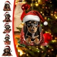 thumbnail image 2 of KCEHTA Dachshund Christmas Ornaments 2024, Dachshund Christmas Decor, Dog Ornaments for Christmas Tree, Personalized Cute 2D Acrylic Dachshund Dog Christmas Tree Hanging Ornaments, 2 of 7