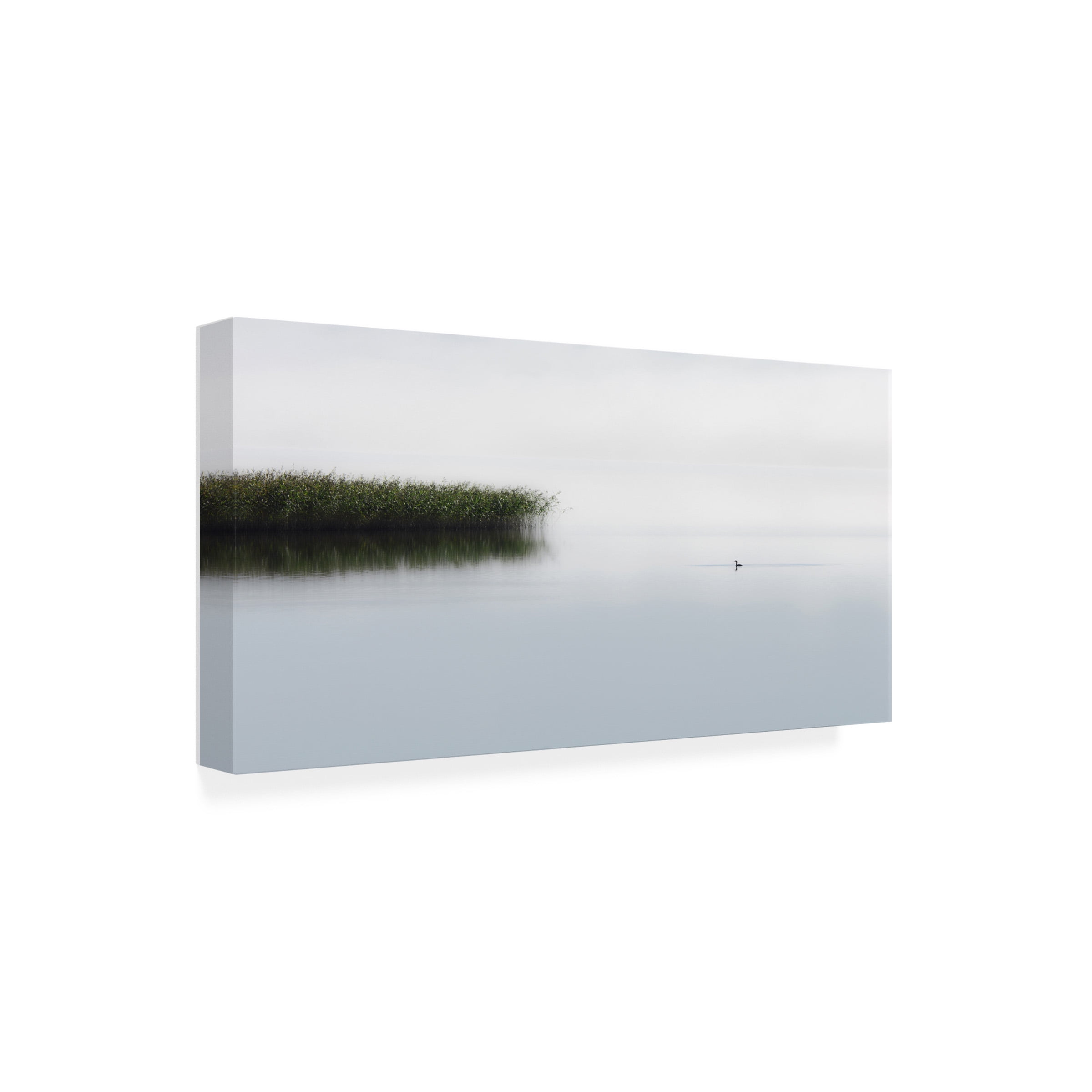 Bjorn Emanuelson 'The Lone Fisher' Canvas Art