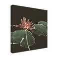 thumbnail image 2 of Trademark Fine Art 'Lily on Black III' Canvas Art by Chris Paschke, 2 of 3