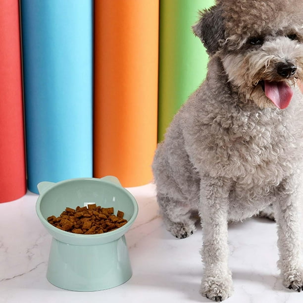 Cuenco para Estación de Alimentación Antideslizante Colco Comedero para Mascotas