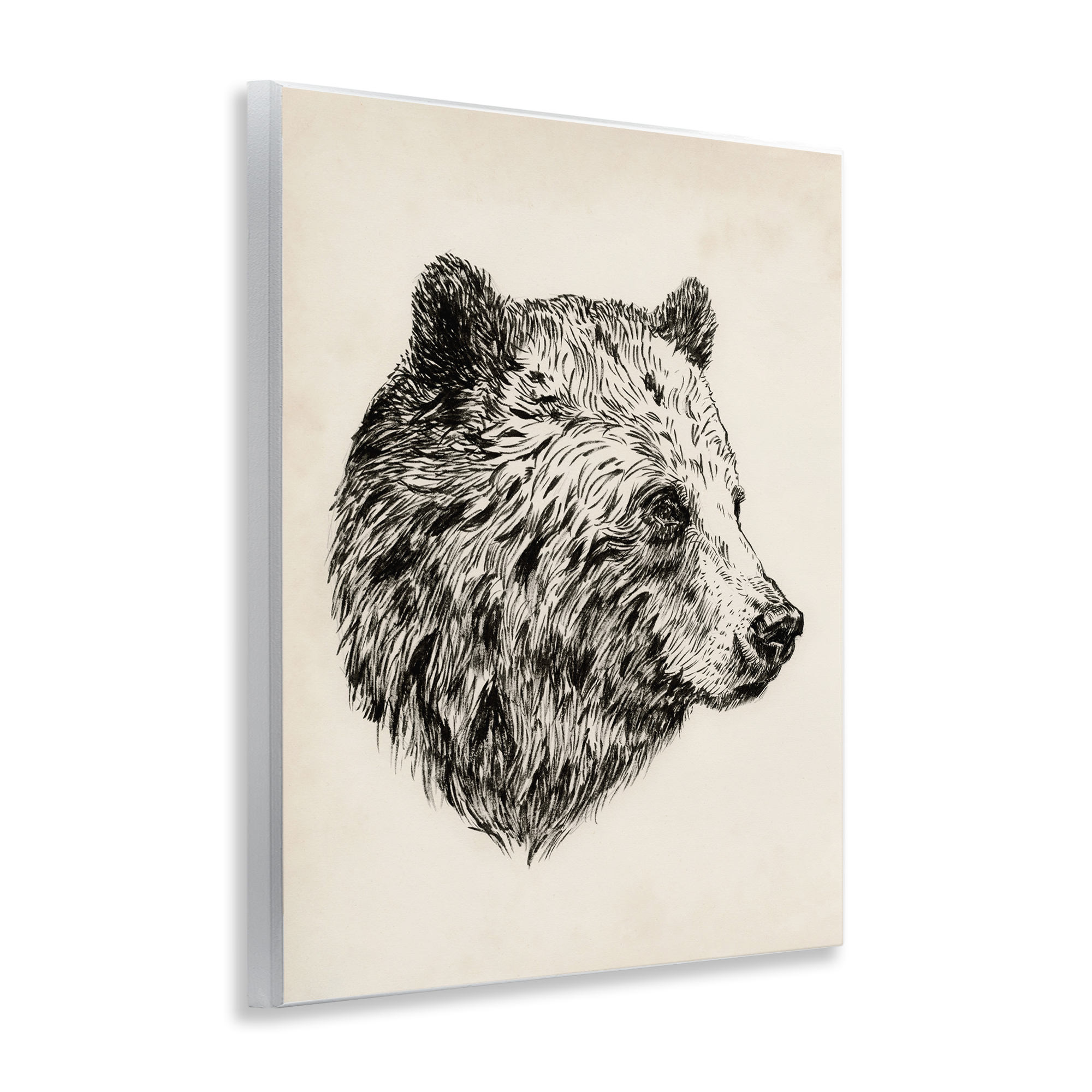 Stupell Industries Rustic Bear Drawing Animals & Insects Drawing Unframed Art Print Wall Art, 11 x 14