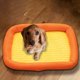 thumbnail image 4 of RKSTN Cat Bed Small and Medium-Sized Dog Four Seasons Mat 50*40*6cm Orange, 4 of 6