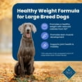 thumbnail image 5 of Blue Buffalo Life Protection Formula Weight Control Large Breed Dog Food, Chicken, 30 lbs., 5 of 11