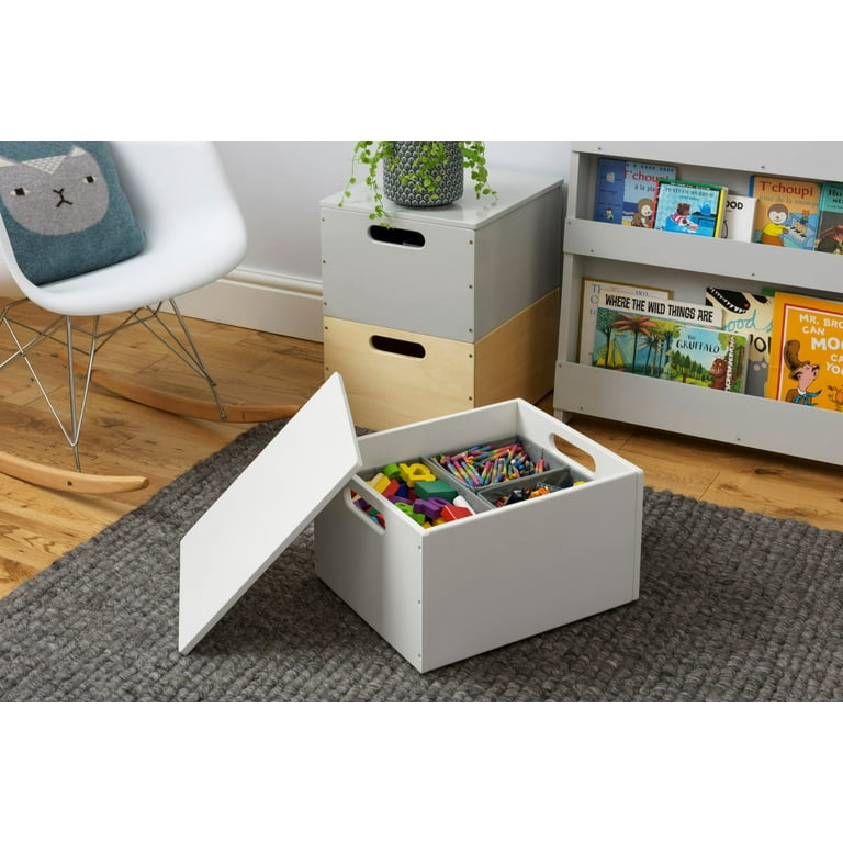 Tidy Books Toy Box with Lid. Small Toy Organizer. Storage Box