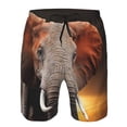 thumbnail image 4 of Naloa Elephant Sunset in Kenya Men's Beach Shorts, Surfing shorts, Swim trunks, Quick Dry Swim Trunks for Surfing Beach Fun - Medium, 4 of 9