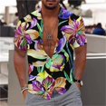 thumbnail image 3 of Camisas casuales con gráficos florales para hombres, ropa con estampado 3D, camisa hawaiana de playa, blusas Y2K de manga corta, ropa vintage, blusa con solapa, 3 of 5