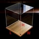 thumbnail image 3 of Caja de exhibición de acrílico transparente personalizada, caja de ensamblaje de base de madera, cubo de encimera, caja de exhibición a prueba de polvo para manualidades de juguetes de acción, 3 of 5