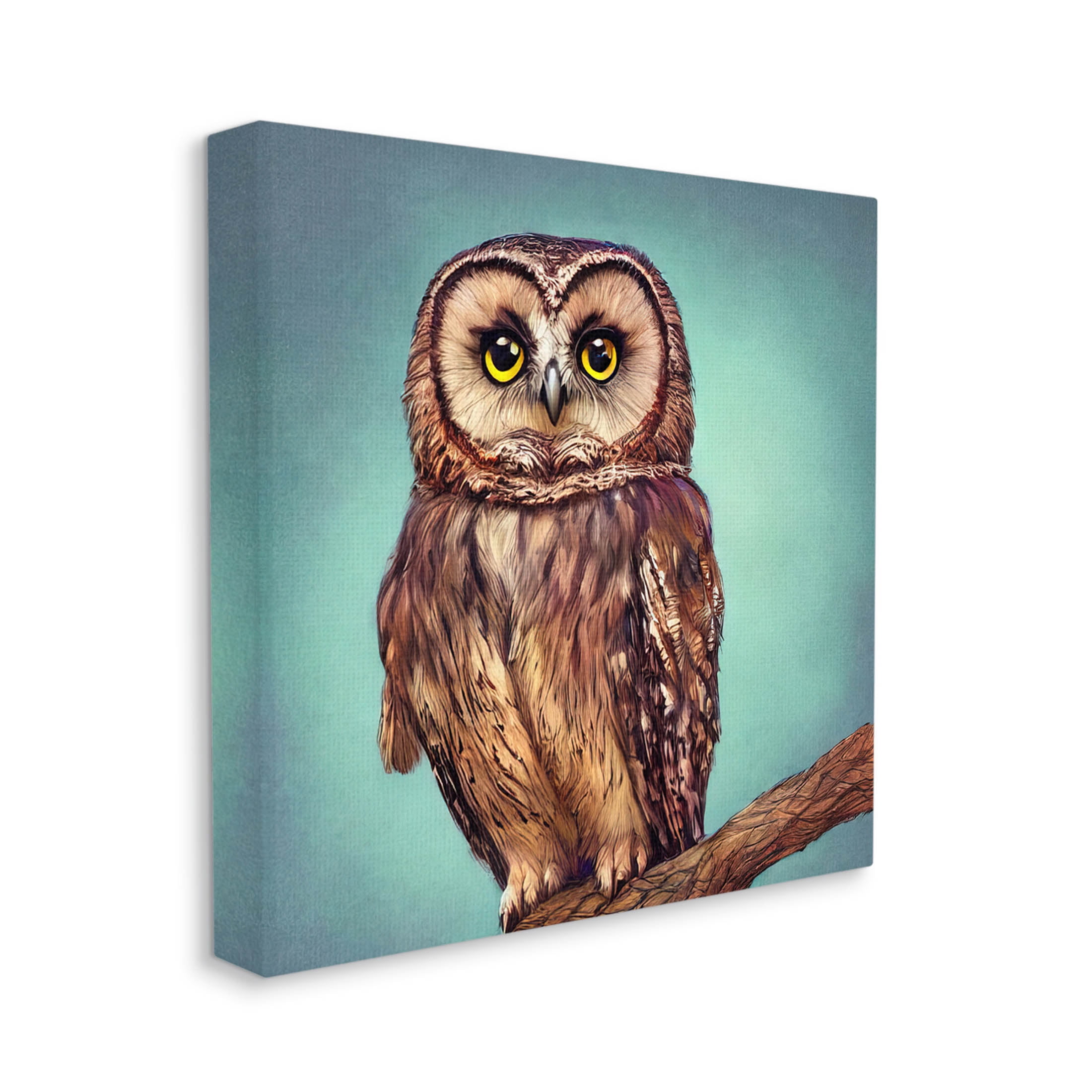 Beautiful Owl Wildlife Portrait Animals & Insects Painting Gallery Wrapped Canvas Print Wall Art