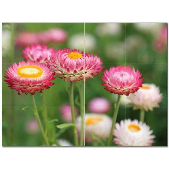 Flowers Ceramic Tile Mural Kitchen Backsplash Bathroom Shower 402483-XL43