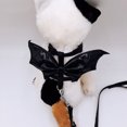 thumbnail image 4 of Pet Leash Harness Set Bat Design Lovely Pet Wings Cat Harness Set for Halloween, 4 of 6