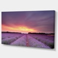 thumbnail image 2 of Beautiful Sunset over Lavender Rows - Landscape Canvas Wall Art, 2 of 3