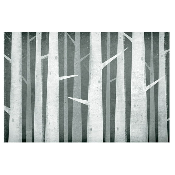 Lovely Rustic Birches Winter Woods by Ryan Fowler; One 18x12in Paper Poster