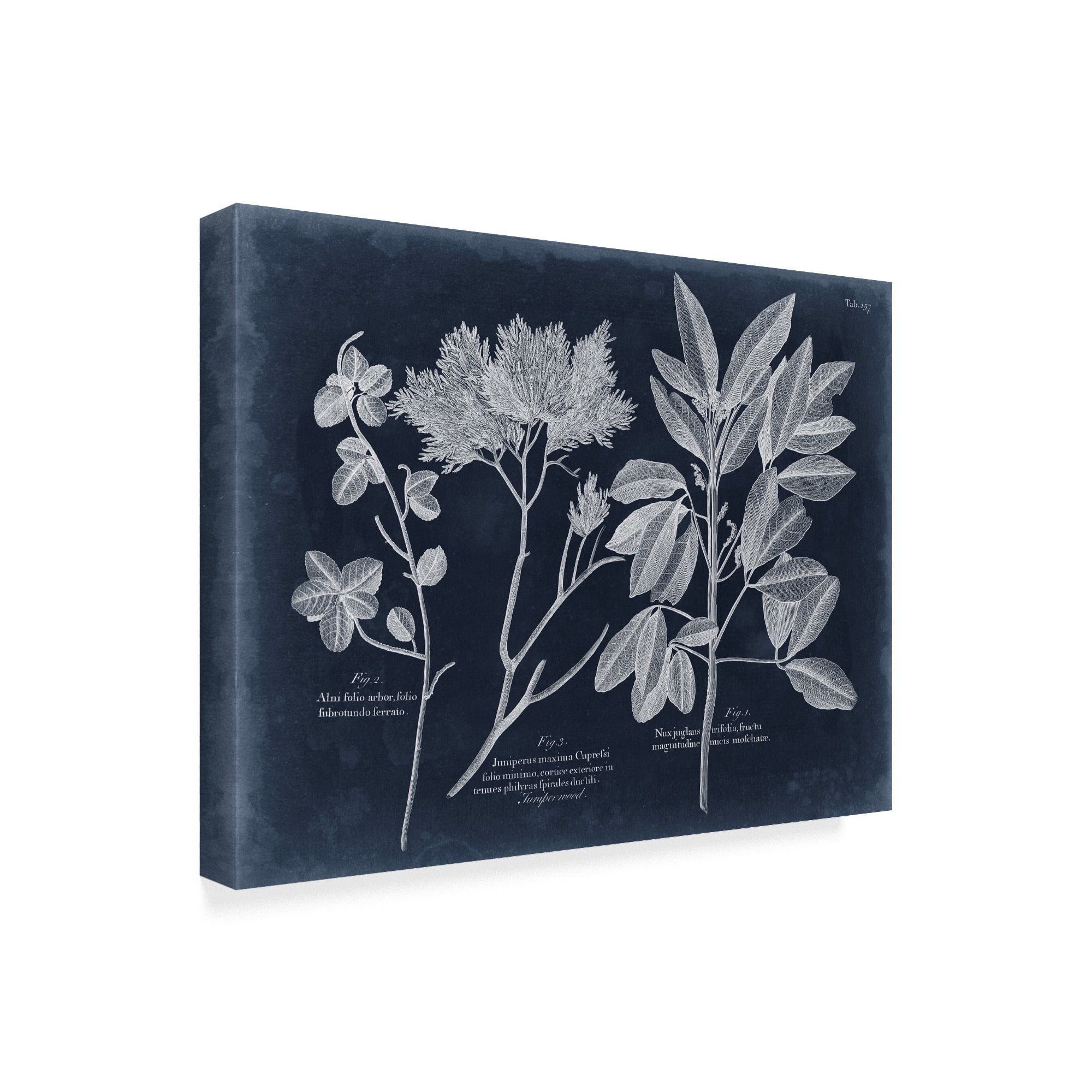 Trademark Fine Art 'Foliage on Navy VI' Canvas Art by Vision Studio