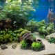 thumbnail image 4 of unbranded De Resina Para Acuario Con Jarra Estilo Vintage Para Refugio De Peces, 4 of 6
