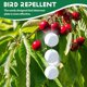 thumbnail image 5 of 24PCS / Set Discos Repelentes de PáJaros Dispositivo Colgar Reflectante para Mantener a las Alejadas Como Carpinteros, 5 of 5