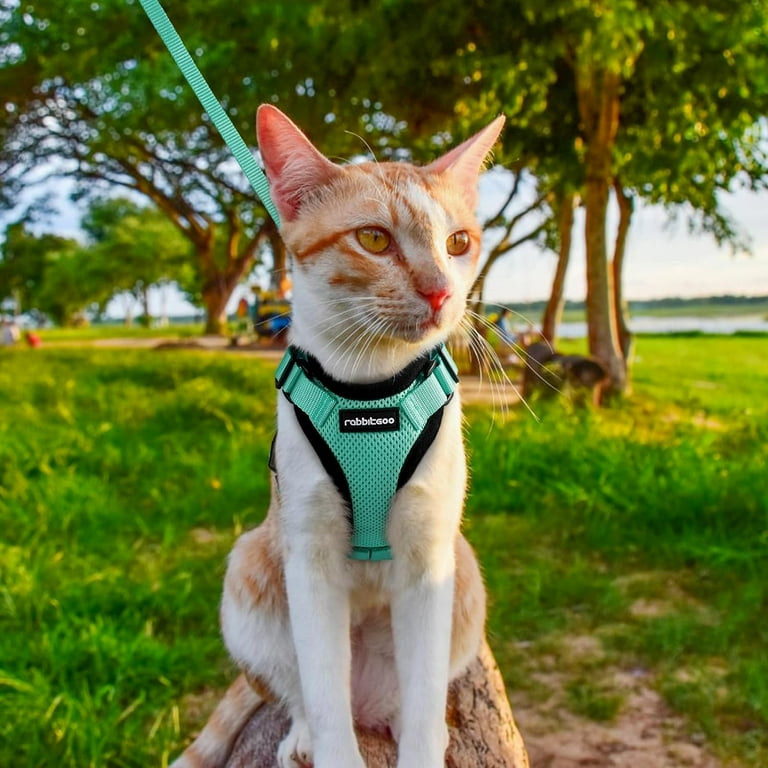 Rabbitgoo Cat Harness and Leash, Adjustable Vest with Reflective