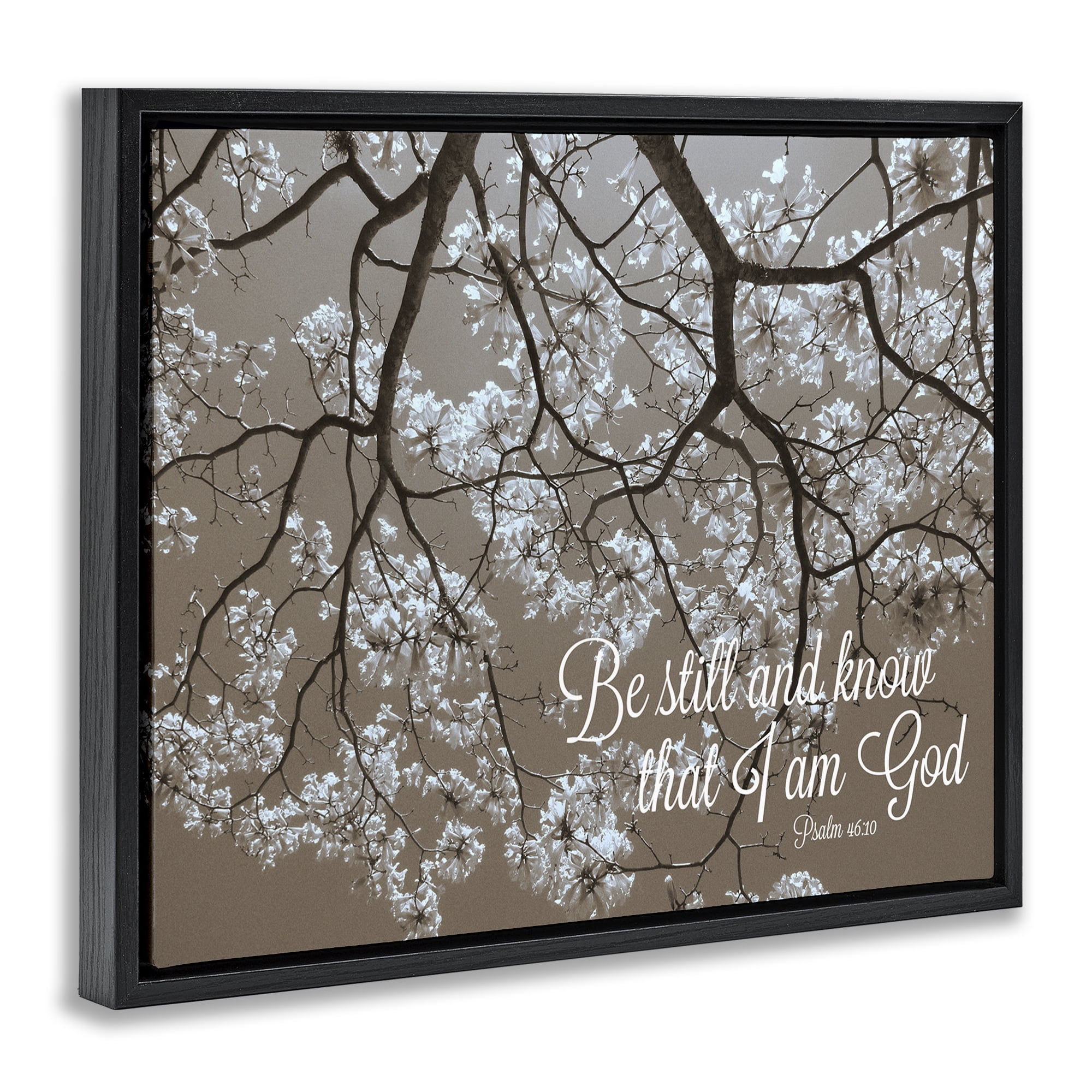 Stupell Industries Be Still Apple Blossoms Black Framed Floater Canvas Wall Art, design by Gail Peck