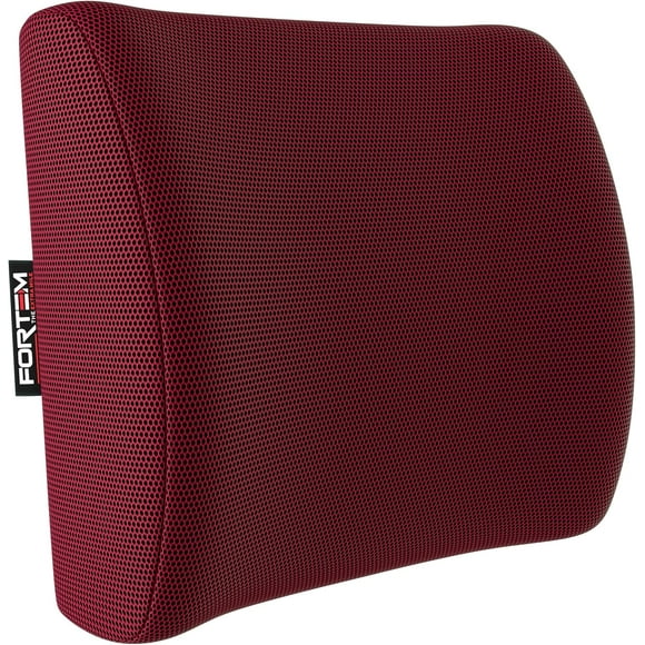 UTAH-Lumbar Support Office Chair, Lumbar Support Pillow for Car, Office Chair Back Support, Lumbar Pillow for Desk Chair, Memory Foam Back Cushion, Washable Cover (Mesh, Red)