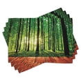 thumbnail image 1 of Ambesonne Nature Place Mats Set of 4, Sunlight Forest Trees, Standard Size, Green Brown, 1 of 6