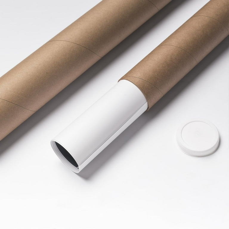 Palmetto Posters 24x28 Laminated Poster: Large detailed political map of east asia