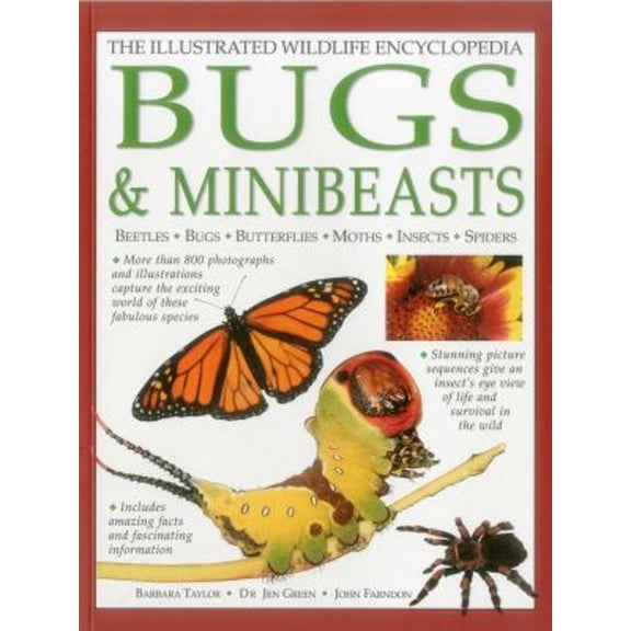 Pre-Owned The Illustrated Wildlife Encyclopedia: Bugs & Minibeasts: Beetles, Bugs, Butterflies, Moths, Insects, Spiders (Paperback) 1861474229 9781861474223