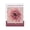 Chrysanthemum Flower Market, variant on Stupell Industries Traditional Ranunculus Flower Market Canvas Art, 16 x 20, by Jennifer Stith