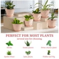 thumbnail image 4 of FIASON 6 Pack 10 Inch Pink Embossed Plastic Plant Pots with Vine Patterns, Drainage Holes and Matching Saucers, Decorative Flower Planters for Indoor Outdoor Garden Patio Home Office Decor, 4 of 8