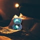thumbnail image 5 of Juguete de oso luminoso, lindo y adorable. El oso grabará e iluminará la muñeca del Día de San Valentín., 5 of 5