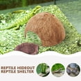thumbnail image 2 of Coconut Shell Reptile Hideout Decorative Aquarium Shelter 1 Set, 2 of 8