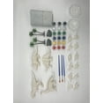 thumbnail image 3 of Jindong Handpainted DIY Creative 3D Painted Dinosaur Set Toy Children Home DIY, 3 of 9