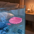 thumbnail image 7 of Seashell Fish Rest Bed, Aquarium Leaf Pad with Suction Cup for Betta Fish, Shrimp and Natural Fish Tank Ornament Decoration, 7 of 7