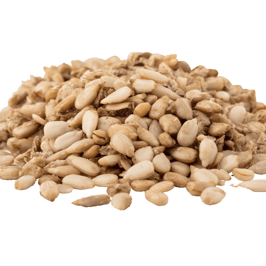 Pack of 6, Go Raw Organic Sprouted Sunflower Seeds, Sea Salt, 14 oz