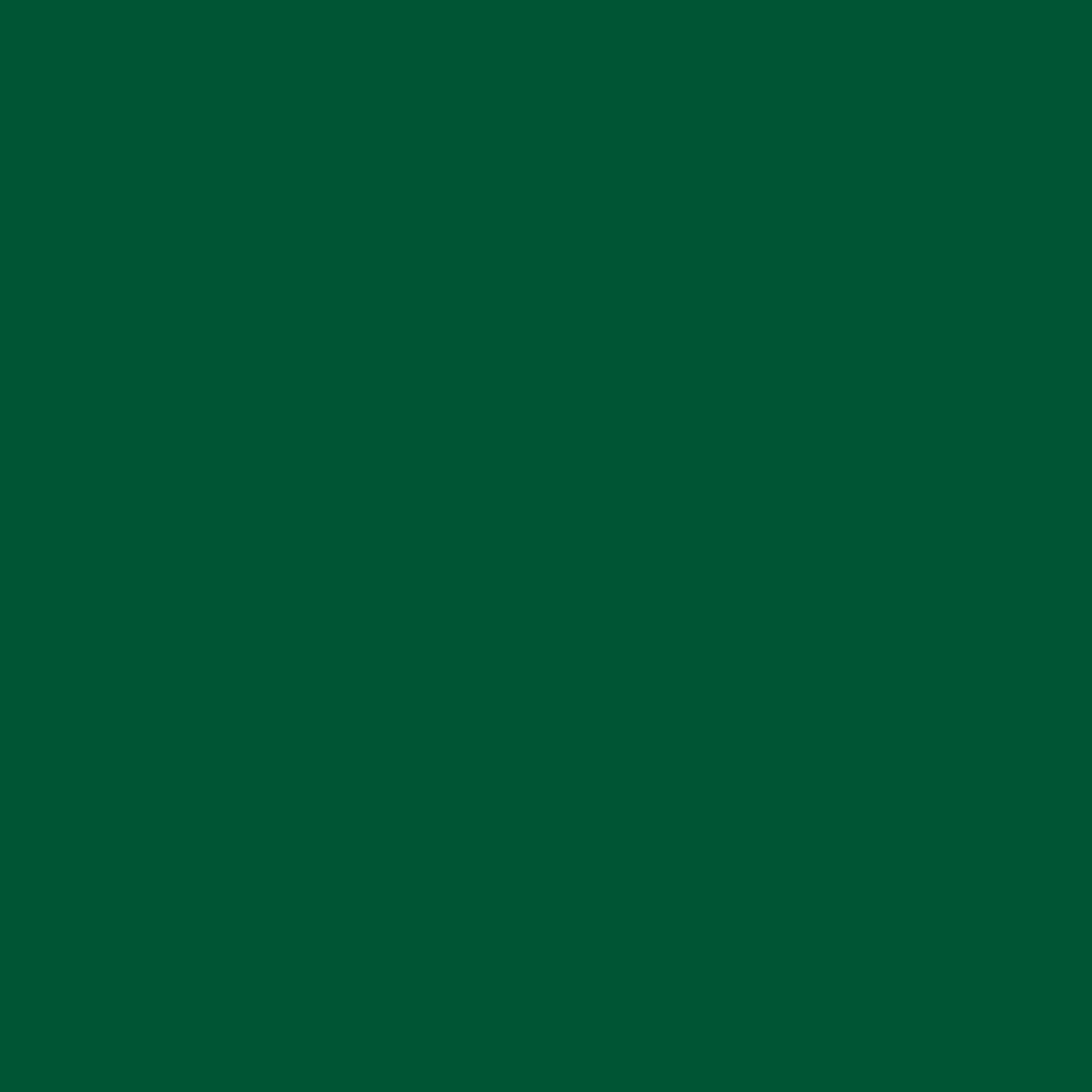 6 Pack, Kelly Green, Quick Color Gloss All Purpose Enamel Spray Paint-390615, 10 oz