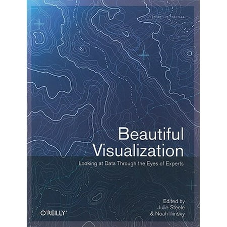 Beautiful Visualization : Looking at Data Through the Eyes of