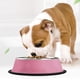 thumbnail image 4 of Comedero de acero inoxidable para perros y gatos, para agua y comida, 18 cm (rosa), 4 of 5