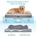 thumbnail image 2 of Ophanie Cooling Gray Orthopedic Dog Bed for Large Dogs with Non-Slip Bottom, Waterproof and Machine Washable Removable Pet Bed Cover,Size(41"x28"x4"), 2 of 7