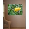 thumbnail image 2 of Sumerlin Bloom of Yellow Rose Glossy Poster, 2 of 2