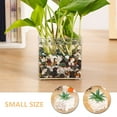 thumbnail image 6 of HEMOTON  2 Pcs Terrarium Plastic Containers Decorative Bottle Vase Outdoor Plant, 6 of 8