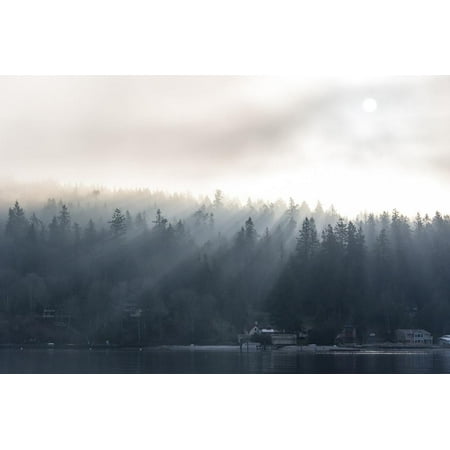 washington state shafts of morning light piercing fog washington state fog light law