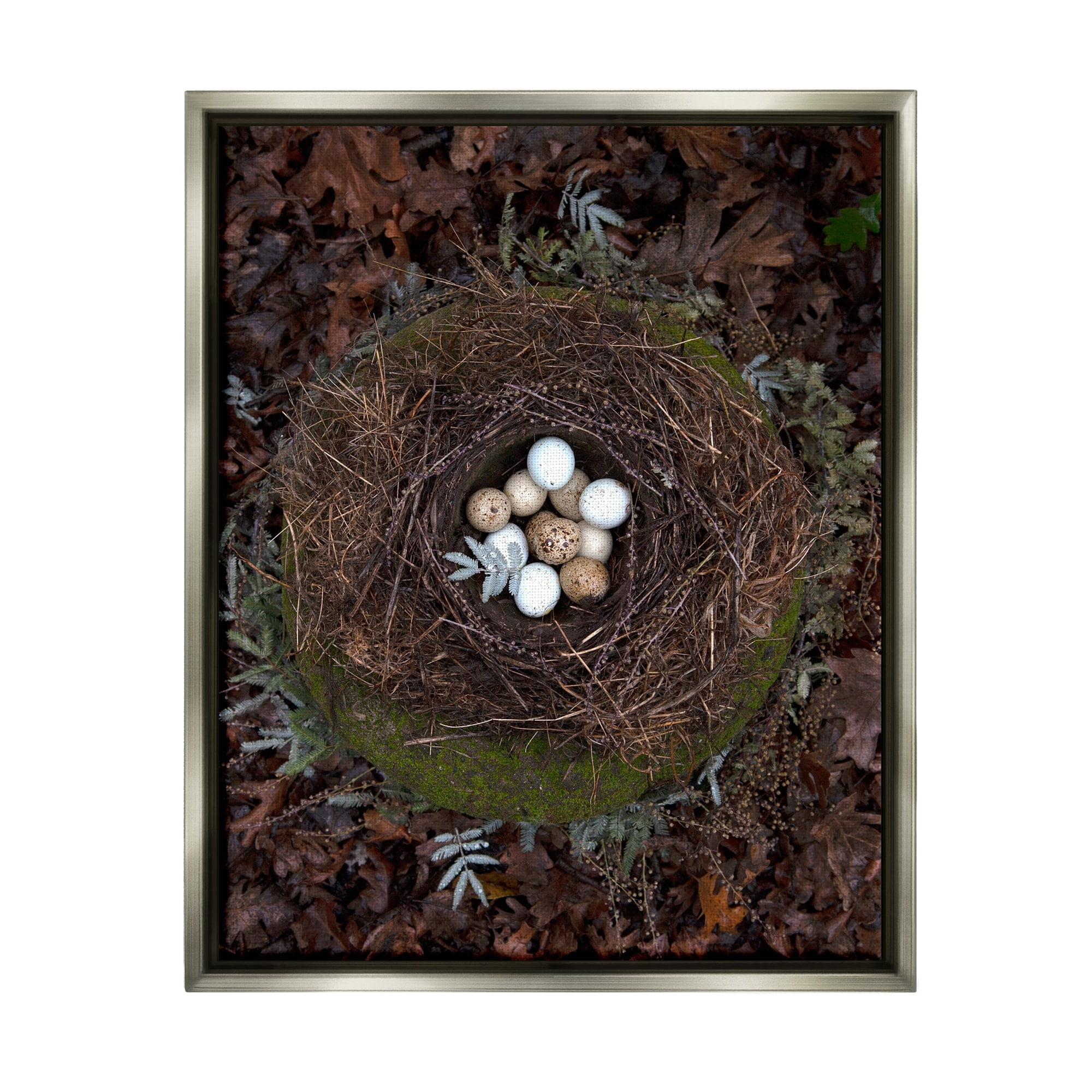 Stupell Industries Bird Nest Wildlife Forest Nature Speckled Eggs Photograph Luster Gray Floating Framed Canvas Print Wall Art, Design by Tania Soderman