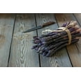 thumbnail image 2 of Purple Passion Asparagus Bare Root Plants to Grow - 2yr Crowns - Grow Colorful and Delicious Purple Asparagus (20 Crowns), 2 of 3