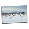 thumbnail image 2 of Gango Home Decor Berries Under Snow I by Dana Styber (Ready to Hang); One 36x24in Hand-Stretched Canvas, 2 of 4