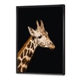 thumbnail image 3 of Designart 'Close Up Portrait Of A Giraffe On Black IV' Farmhouse Framed Canvas Wall Art Print, 3 of 5