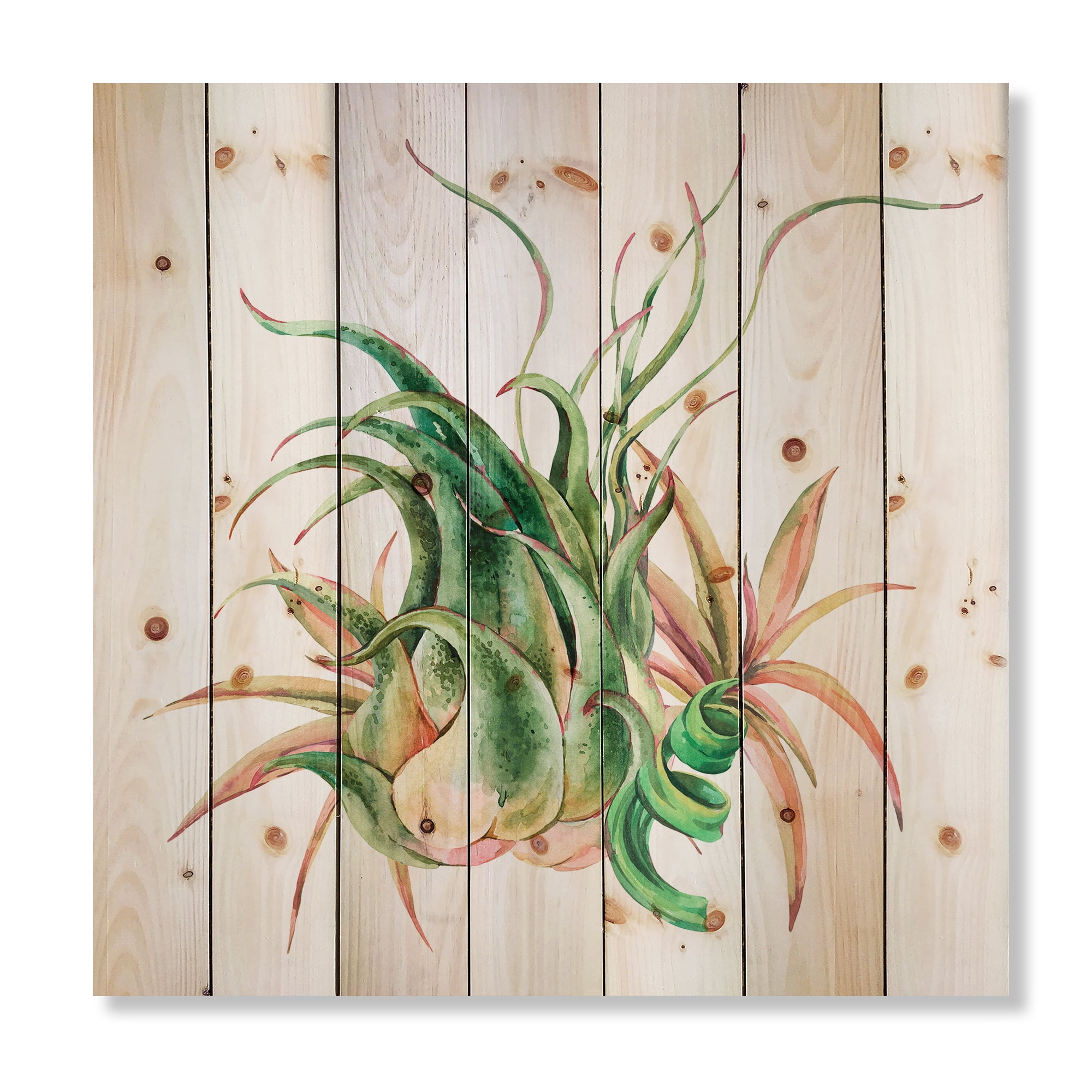 Designart 'Tropical Leaves Air Plant Succulent On White' Farmhouse Print on Natural Pine Wood
