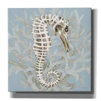 Epic Graffiti 'Coral Seahorse I' by Cindy Jacobs, Canvas Wall Art, 26"x26"