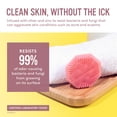 thumbnail image 2 of Face Scrubber Scrubber Scrub® de silicona antimicrobiana rosa, 1 paquete, 2 of 7