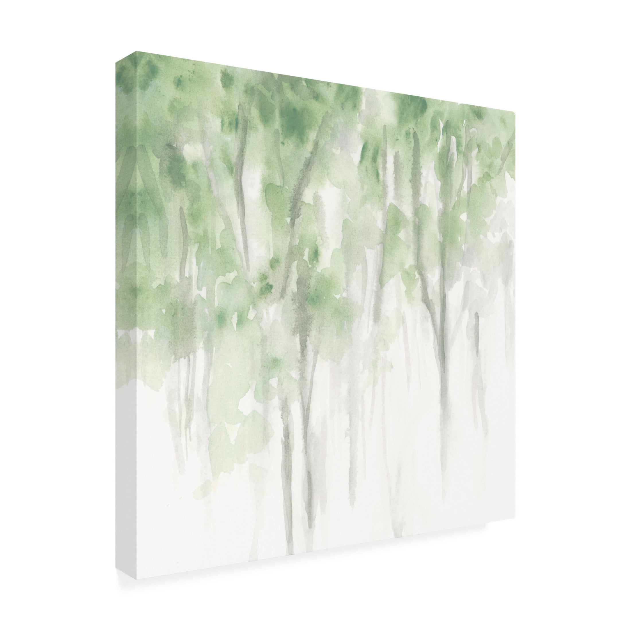 Trademark Fine Art June Erica Vess Misty Grove II Canvas Wall Art