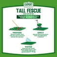 Expert Gardener Tall Fescue Grass Seed Mix, for Sun to Partial Shade, 20 lb.