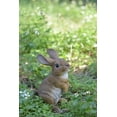 thumbnail image 1 of Animal Statue Easter Bunny Standing Rabbit Garden Statue,Garden Decoration, Home Decor, Indoor/Outdoor, 1 of 5