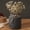Black-Ribbed, variant on Ceramic Flower Vase with Handles, Large Decorative White Vase, Farmhouse Terracotta Vases for Home Decor, Rustic Vintage Vases for Living Room, Kitchen, Bedroom, Office, Coffee Table, 28CM